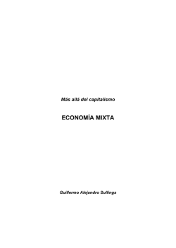 Más allá del Capitalismo - Economía Mixta