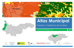 1804_El Progreso Atlas Forestal Municipal