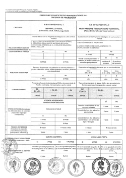 Proyectos Priorizados