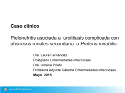 Proteus mirabilis - Cátedra de Enfermedades Infecciosas