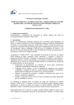 Consultoría Local/Equipo Consultor