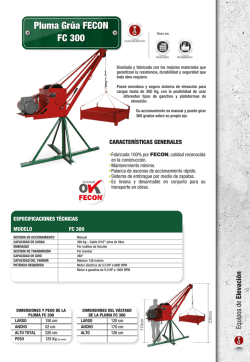 Pluma Gr&uacute;a FECON FC 300