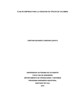 plan de empresa para la creacion de típicos de colombia cristian