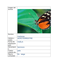 mariposa AEROTERRESTRE VUELA hervivoro pelo Es siega