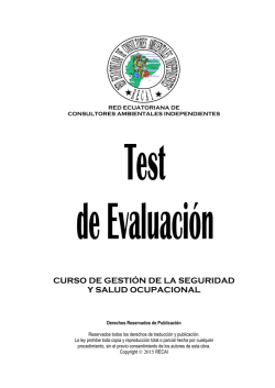 curso de gestión de la seguridad y salud ocupacional