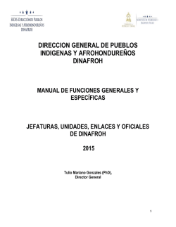 D.3 Manual de Funciones - Dinafroh