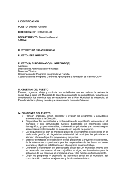 perfil del puesto director de sistema dif