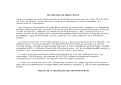 DENOMINACION DE ORIGEN &ldquo;BAENA&rdquo; Los primeros