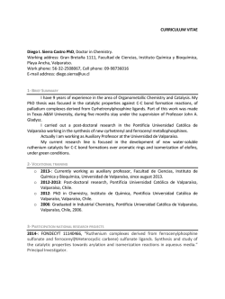 CURRICULUM VITAE Diego I. Sierra Castro PhD, Doctor in
