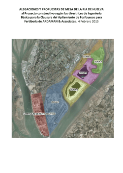 Alternativas de Mesa de la Ría de Huelva al Ministerio.