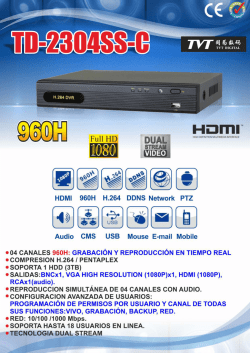 DVR TD-2304SS-C