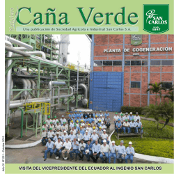 Revista Caña Verde Octubre 2015 VER +