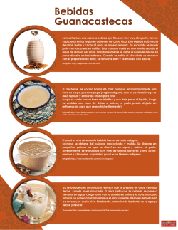 Bebidas Guanacastecas
