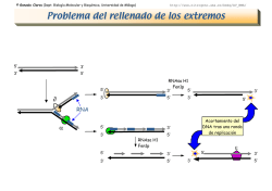 Problema del rellenado de los extremos