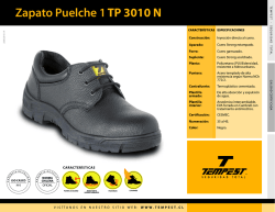 Zapato Puelche 1 TP 3010 N copy
