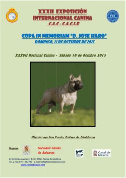 xxxii exposicion internacional canina mallorca