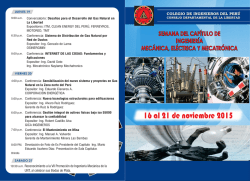 Programa Digital - Colegio de Ingenieros del Perú