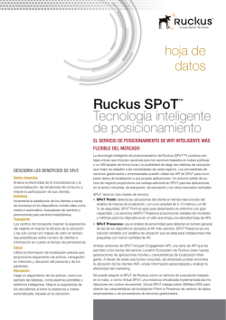 Ruckus SPoT™