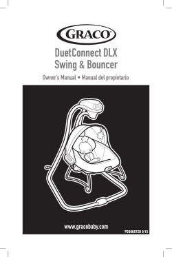 Duet Connect DLX Swing & Bouncer
