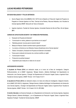 LUCAS RICARDO PETIGROSSO