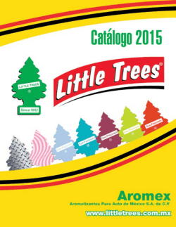 Aromatizante Pino 1 pzs