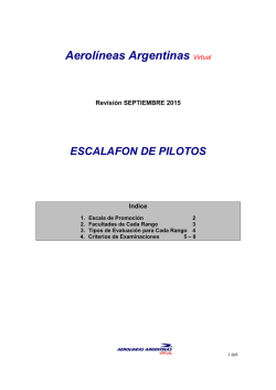 Reglas de Escalafon - Aerolineas Argentinas Virtual