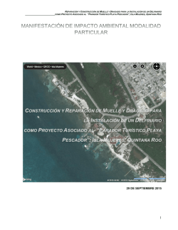 CONSTRUCCI&Oacute;N Y REPARACI&Oacute;N DE MUELLE Y DRAGADO