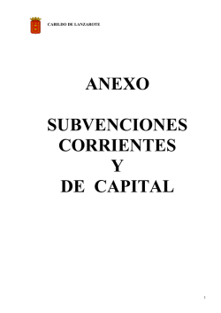 07 Anexo de subvenciones nominadas