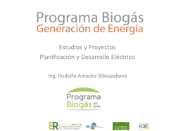 Programa Biogás Generación de Energía.