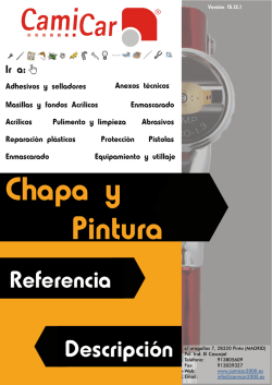 Chapa y pintura