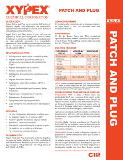 Ficha técnica de Xypex Patch and Plug