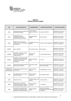ANEXO II PROYECTOS EXCLUIDOS