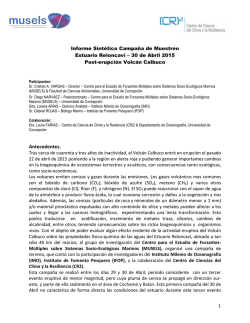 Descargar Informe 1&deg; Campa&ntilde;a Reloncav&iacute;