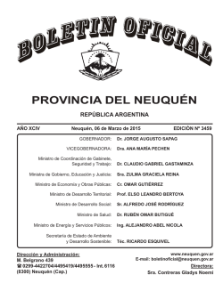PROVINCIA DEL NEUQU&Eacute;N