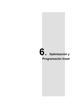 6. Optimizaci&oacute;n y Programaci&oacute;n lineal