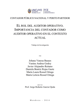 El rol del auditor operativo. Importancia del contador como auditor