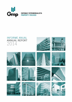INFORME ANUAL ANNUAL REPORT