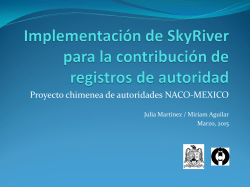 Proyecto chimenea de autoridades NACO-MEXICO