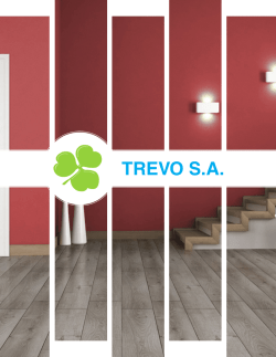 PISO - Trevo SA