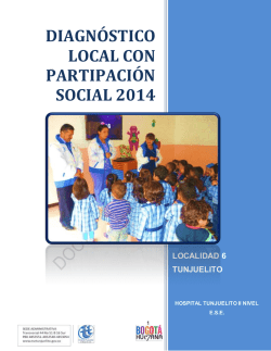 diagnostico local 2014