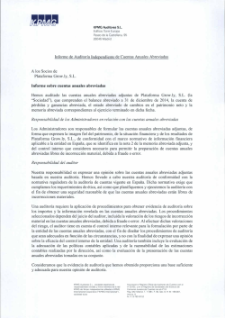 lnforme de Auditoria Independiente de Cuentas Anuales