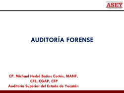 Michael Herbé Baños Cortés Auditoria Forense