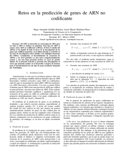 Retos en la predicci´on de genes de ARN no codificante