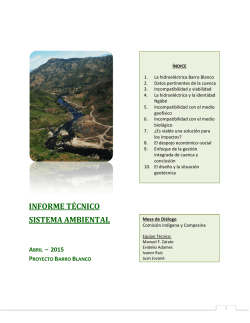 Documento técnico ambiental sobre el conflicto de Barro Blanco, y