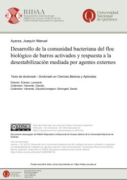 Desarrollo de la comunidad bacteriana del floc biológico de barros