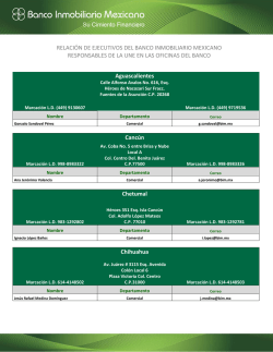 Directorio de Ejecutivos B. I. M.