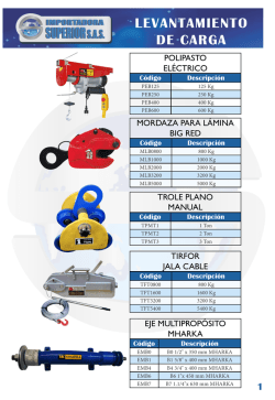 LEVANTAMIENTO DE CARGA - importadora superior sas
