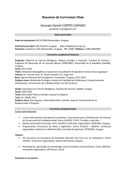 Resumen de Curriculum Vitae Gonzalo Daniel CORTÉS CAPANO