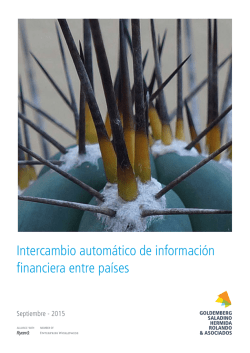 Intercambio automático de información financiera entre países