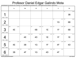 Profesor Daniel Edgar Galindo Mota